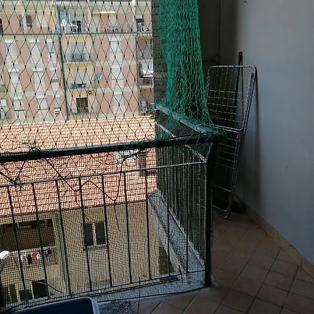 Estivo A Civitanova * Civitanova Marche
